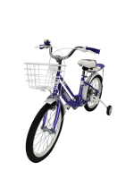 MLD-18-pur (2)