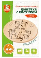 doshchechka_s_risunkom_dlya_vyzhiganiya_lamy_oval_konvert_a4