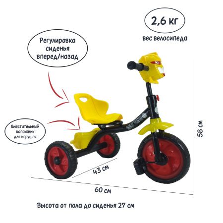 амп.jpg