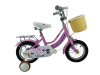 ZZ-123-12-P (2)