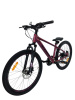 CH88-407-PUR  (2)