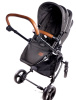 1 (11)